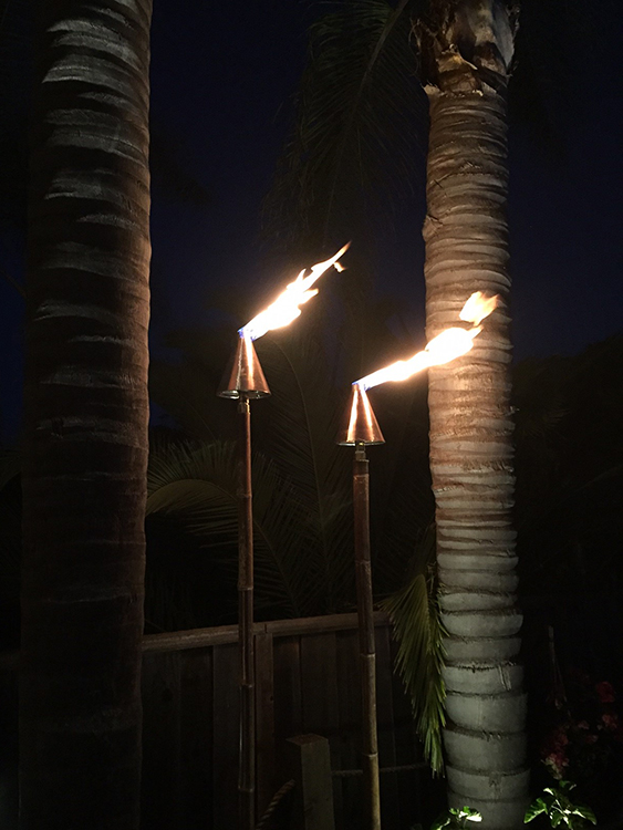 Natural Gas Tiki Torches Northern California tiki torch gallery